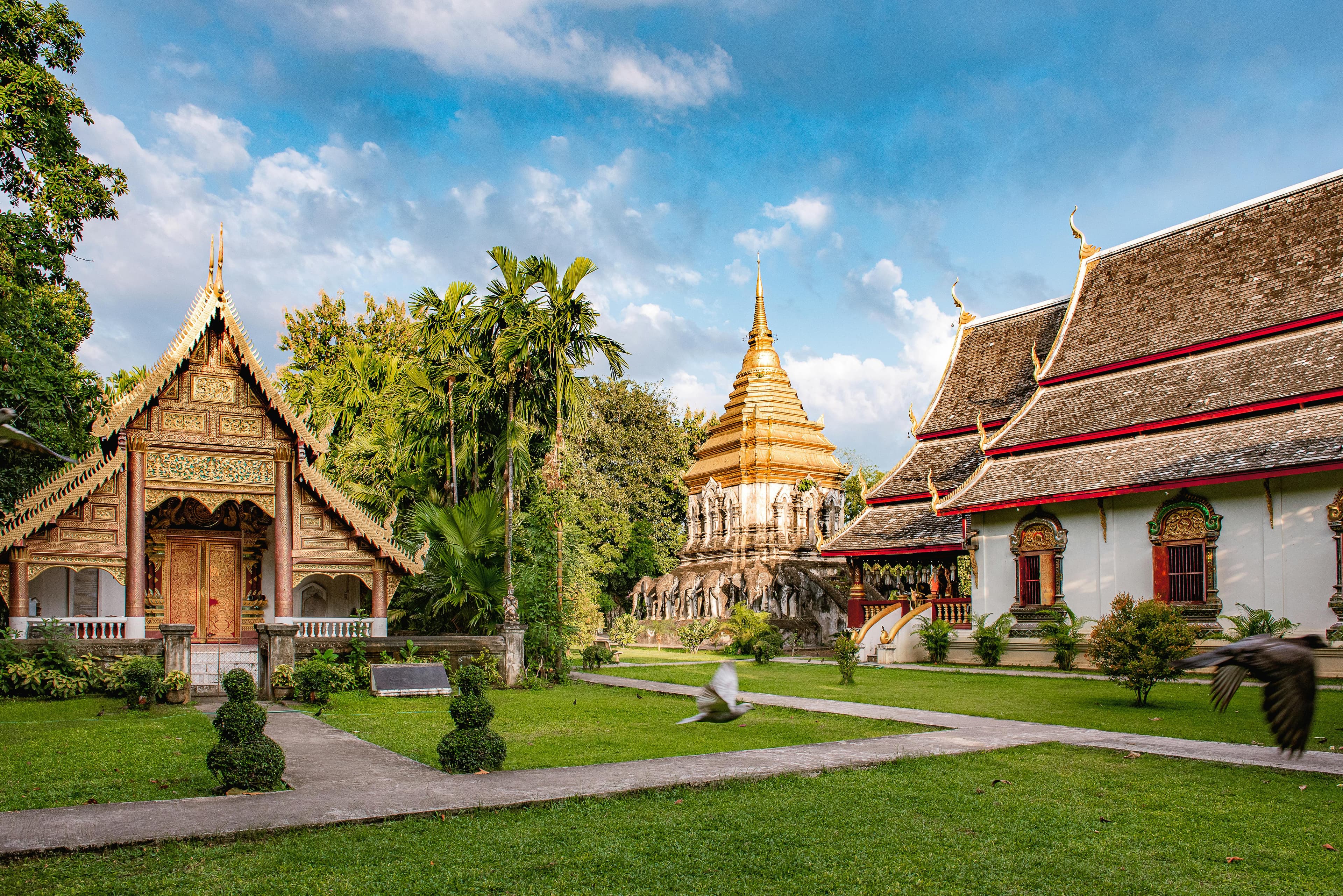 Discover Chiang Mai: 10 Best Things To Do & More